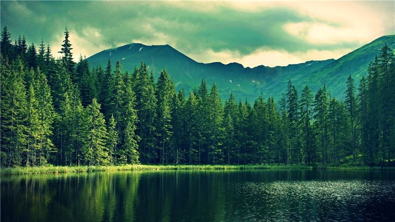 “南北稻香村”纠纷再度升温,苏岛产品被判停止在多家电子商务中销售 “南北稻香村”纠纷再度升温,苏岛产品被判停止在多家电子商务中销售