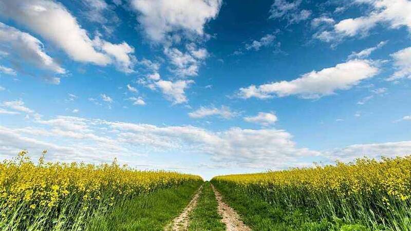 跨境支付新战场与三大巨头的崛起 跨境支付新战场与三大巨头的崛起