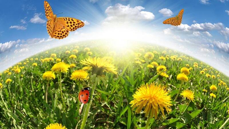【电商趋势】B2B电子商务的新趋势 【电商趋势】B2B电子商务的新趋势