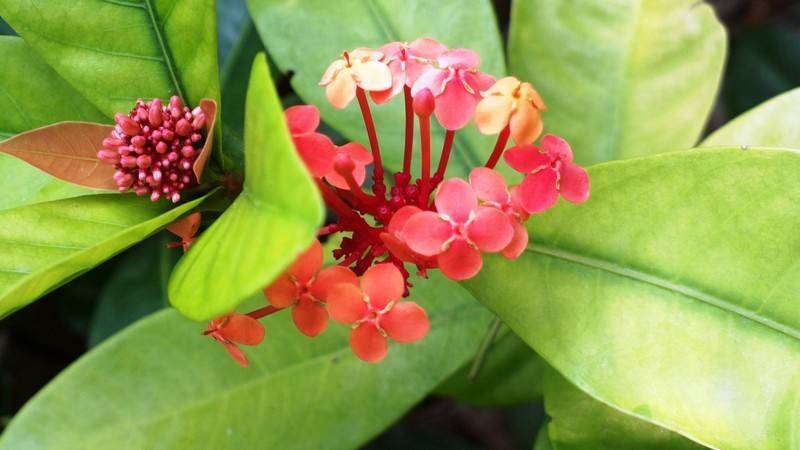 今年8月,**跨境电商高峰论坛,作为跨境人士,将是一大损失。 今年8月,**跨境电商高峰论坛,作为跨境人士,将是一大损失。