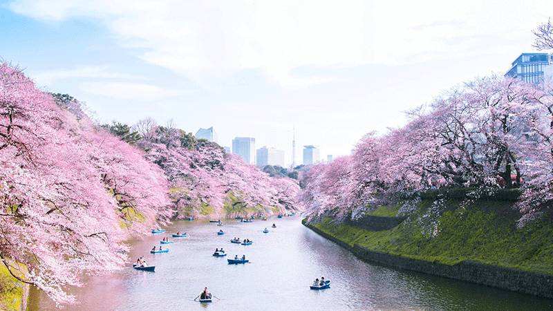 【跨境电商发展】天津跨境电子商务蓬勃发展 【跨境电商发展】天津跨境电子商务蓬勃发展