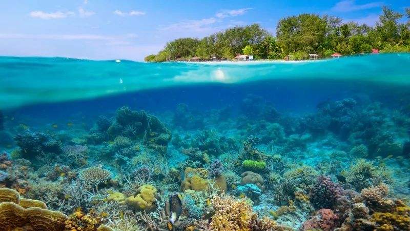 俄罗斯提高海外网购门槛影响中国跨境电子商务 俄罗斯提高海外网购门槛影响中国跨境电子商务